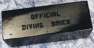 Offical 10 lb Pound Rubber Diving Dive Brick | Item 54200 10-299