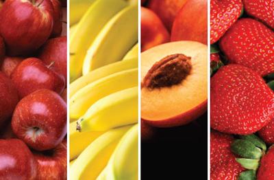 Wise Storage - Freeze Dried Fruit