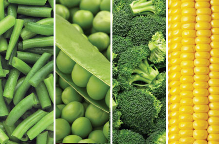 Wise Storage - Freeze Dried Vegetables